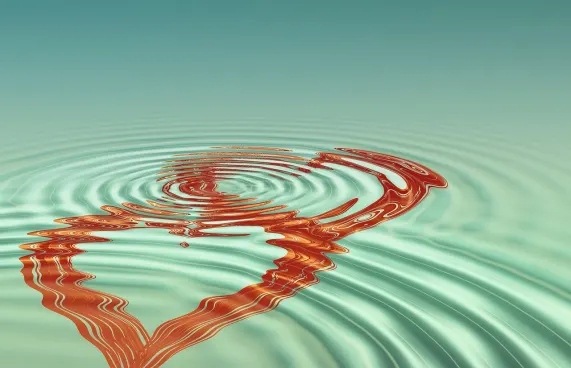 Casoola Casino Stuðningur